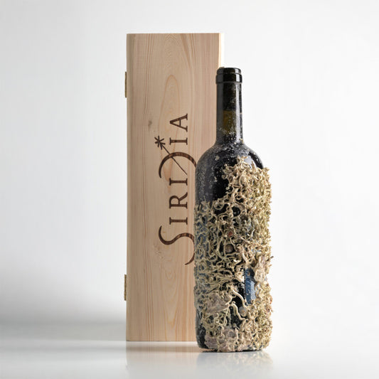 ACQUA, ROSSO VENETO IGT 2019