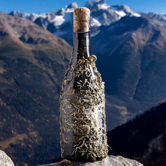 ARIA, BIANCO VENETO IGT 2022