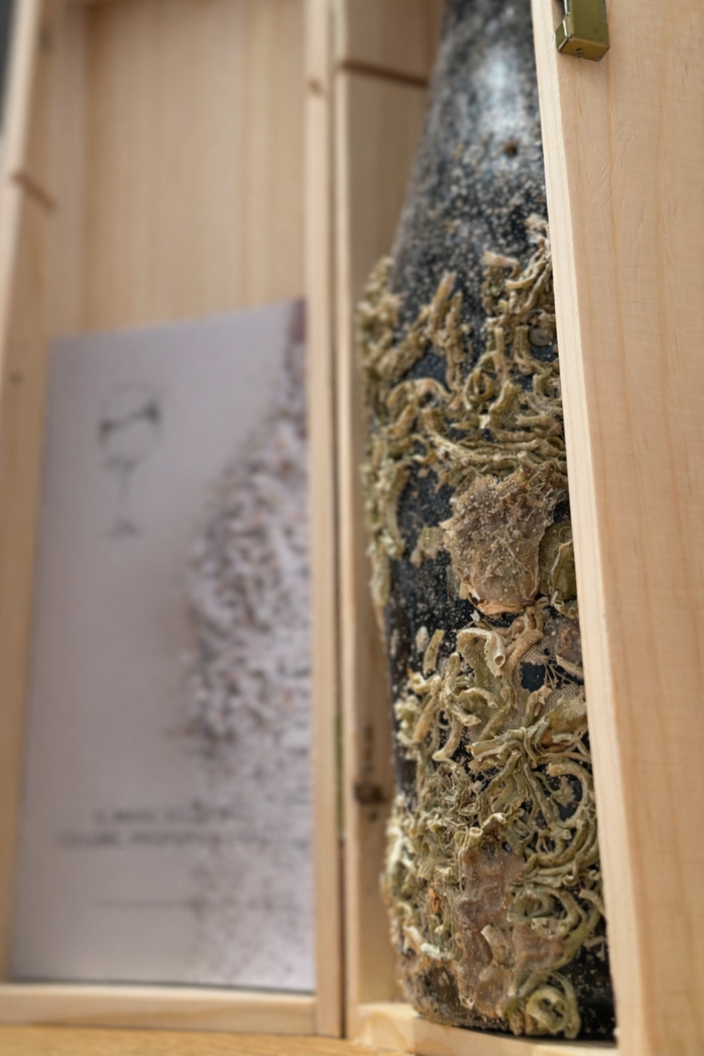 Scrigno in legno